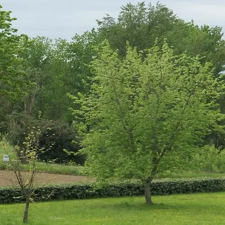 Penzion Maison D'hotes Chateau De Lastours *